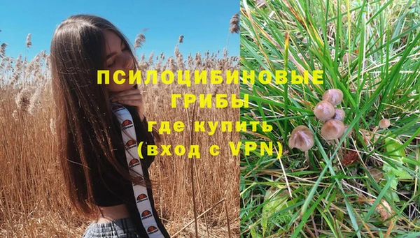 герыч Вязьма