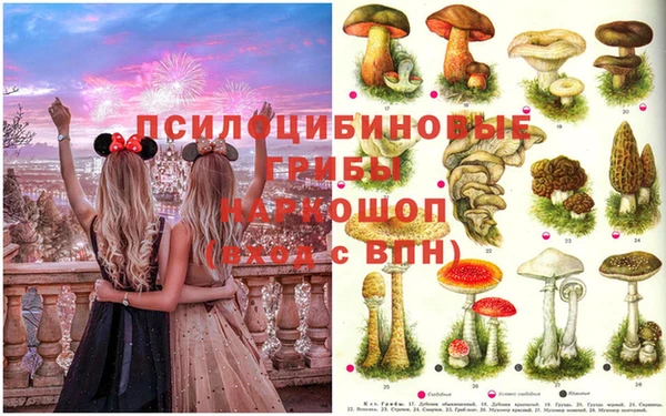 MDMA Вяземский