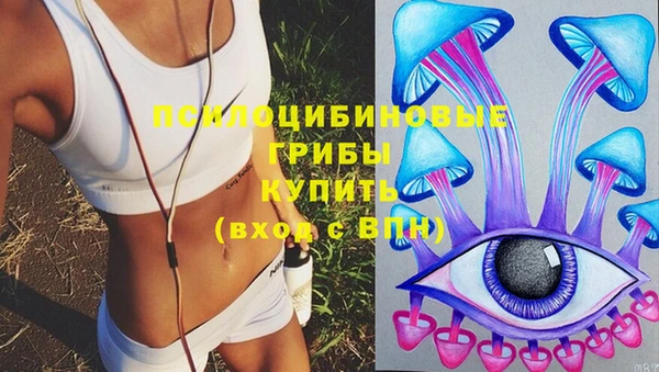 герыч Вязьма